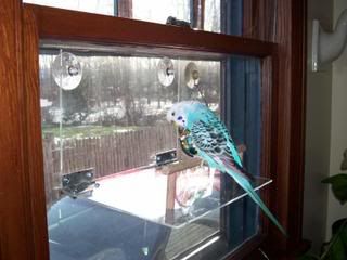 Picture041.jpg