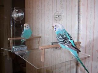Picture045.jpg