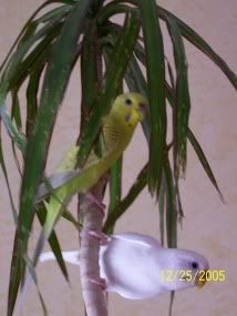 Picture059.jpg