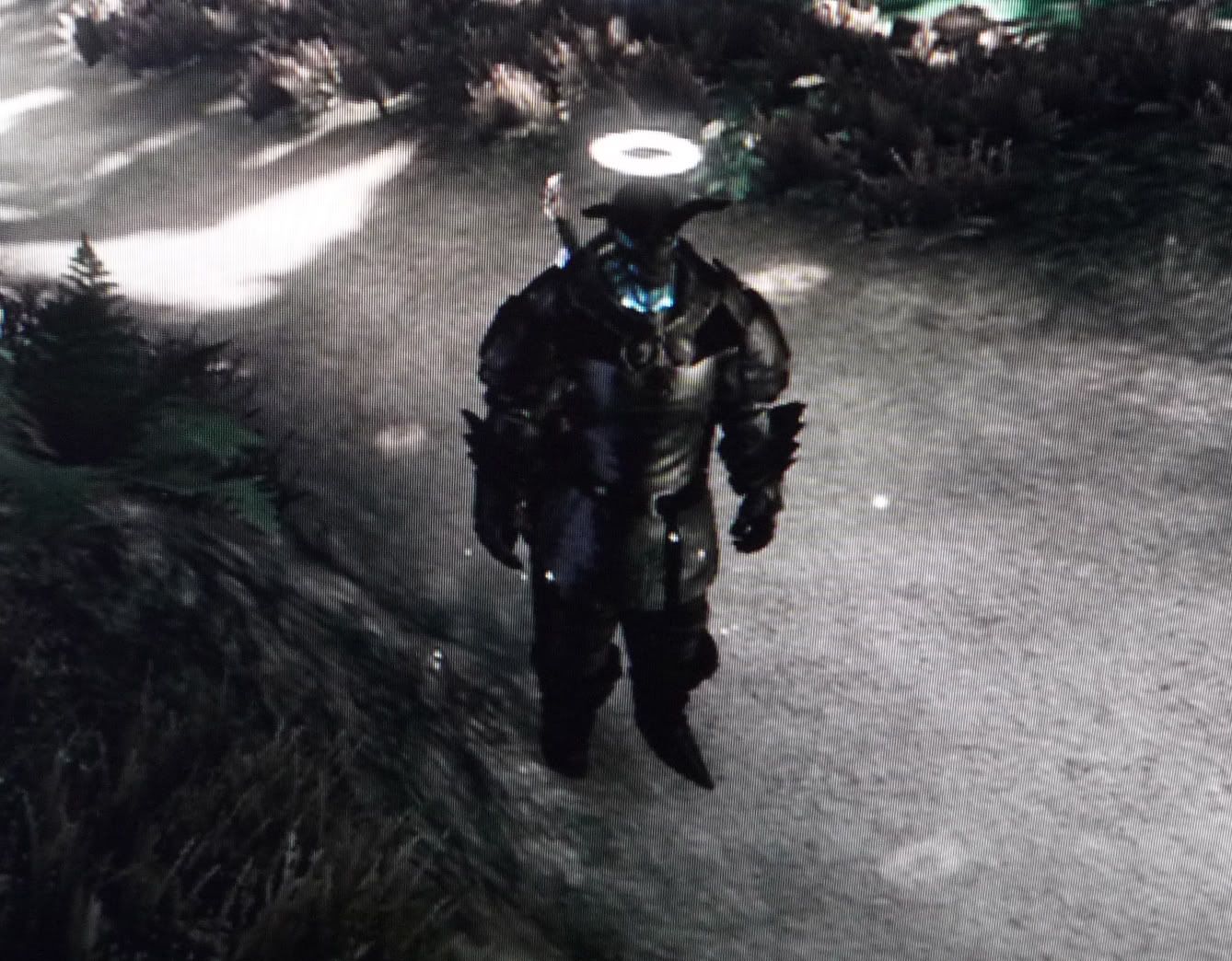 Share Your Funniest Glitch Moments Fable Ii Message Board For