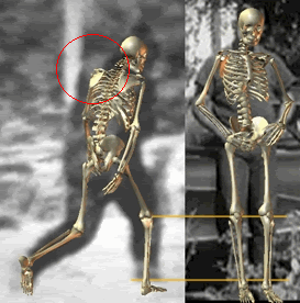 BHSkel.gif