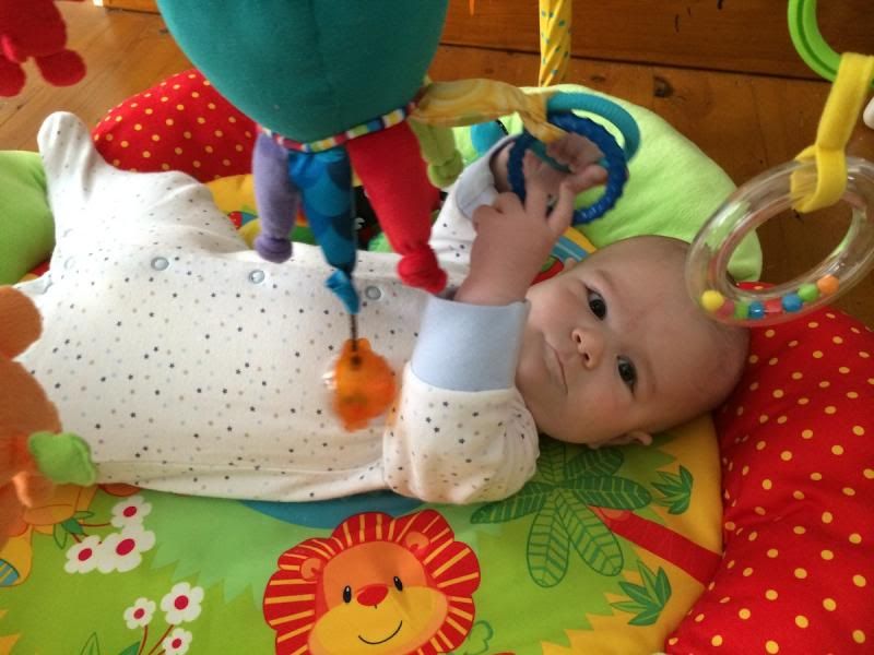 Lamaze Captain Calamari Review