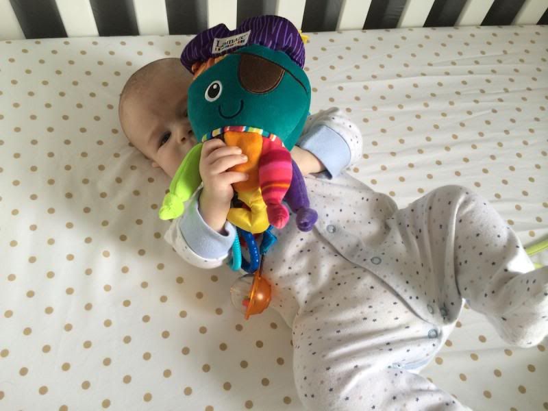 Lamaze Captain Calamari Review