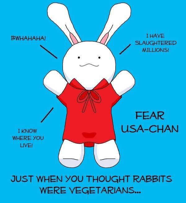 usa chan bunny