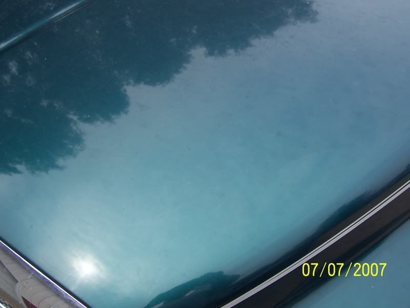 100_0502.jpg