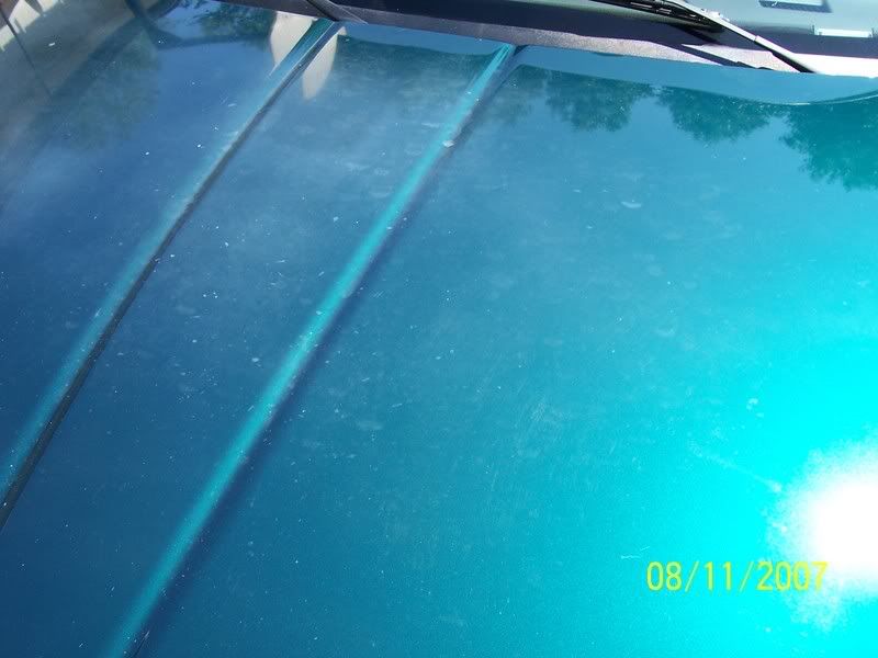 100_2365.jpg