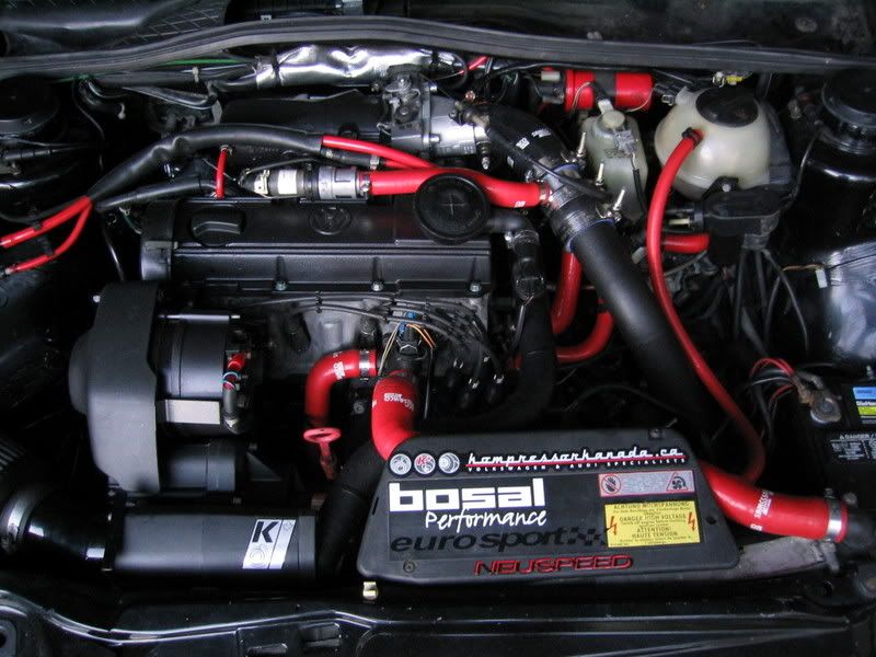 EngineShot1.jpg