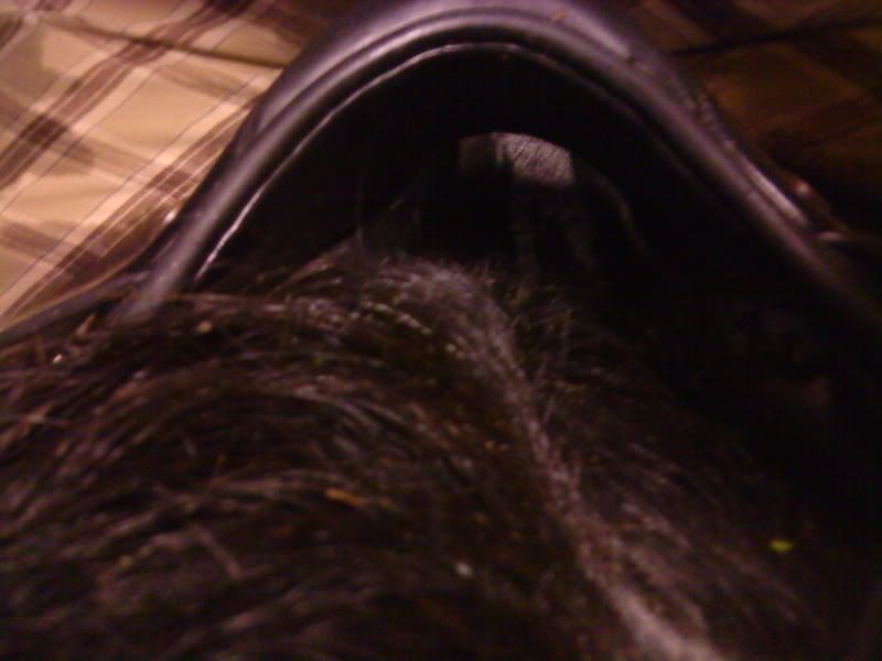 DSC00206.jpg