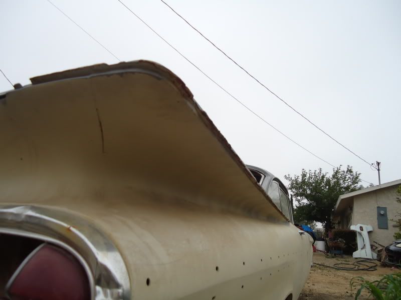 DSC01780.jpg