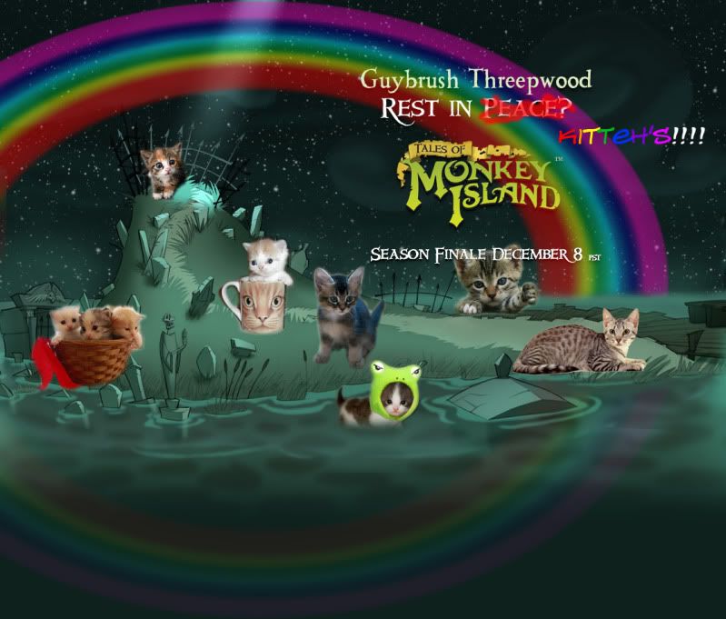 kittyisland.jpg