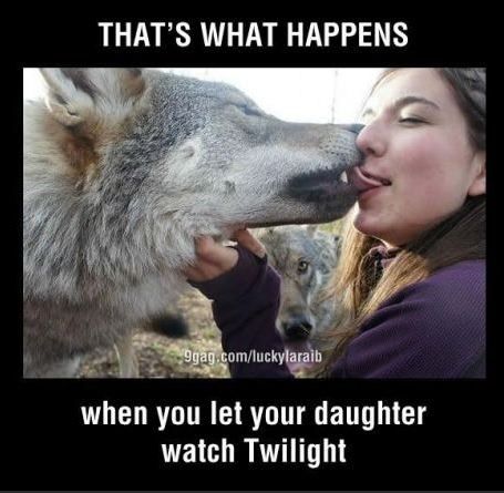 twilight_zpsc82dde2a.jpg