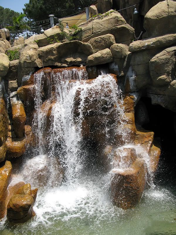 IMAGE: http://i5.photobucket.com/albums/y162/andyrsxs/Canon%20G9/Sea%20World%202008/IMG_0185.jpg