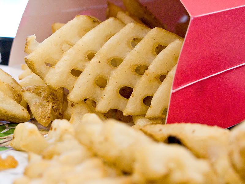 IMAGE: http://i5.photobucket.com/albums/y162/andyrsxs/Canon%20G9/Sea%20World%202008/IMG_0571.jpg