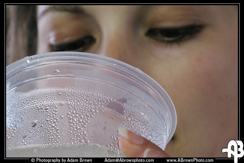 IMAGE: http://i5.photobucket.com/albums/y162/andyrsxs/Canon%20G9/Sea%20World%202008/a.jpg