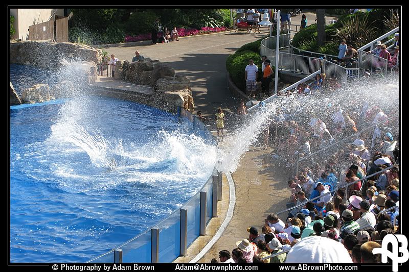 IMAGE: http://i5.photobucket.com/albums/y162/andyrsxs/Canon%20G9/Sea%20World%202008/e.jpg