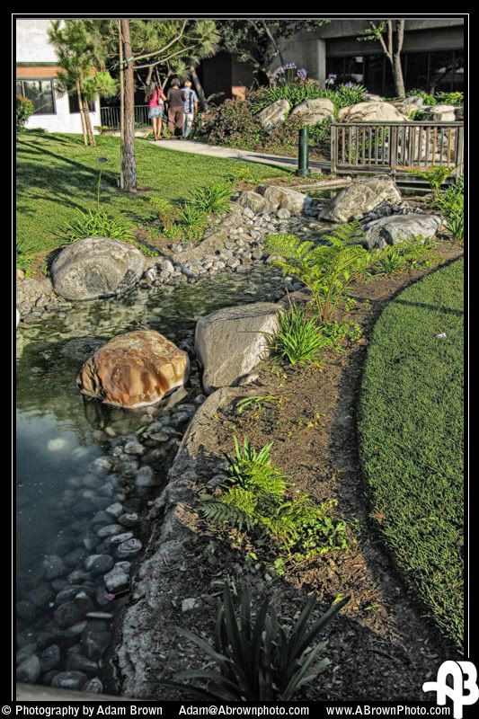 IMAGE: http://i5.photobucket.com/albums/y162/andyrsxs/Canon%20G9/TGIF.jpg