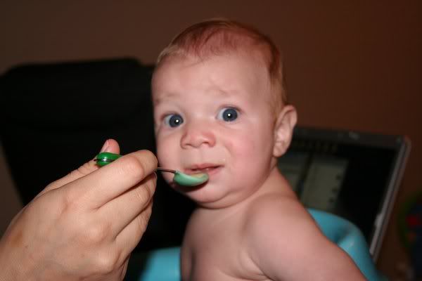 IMAGE: http://i5.photobucket.com/albums/y162/nic780/1-2-20066-32-08PM_0003.jpg