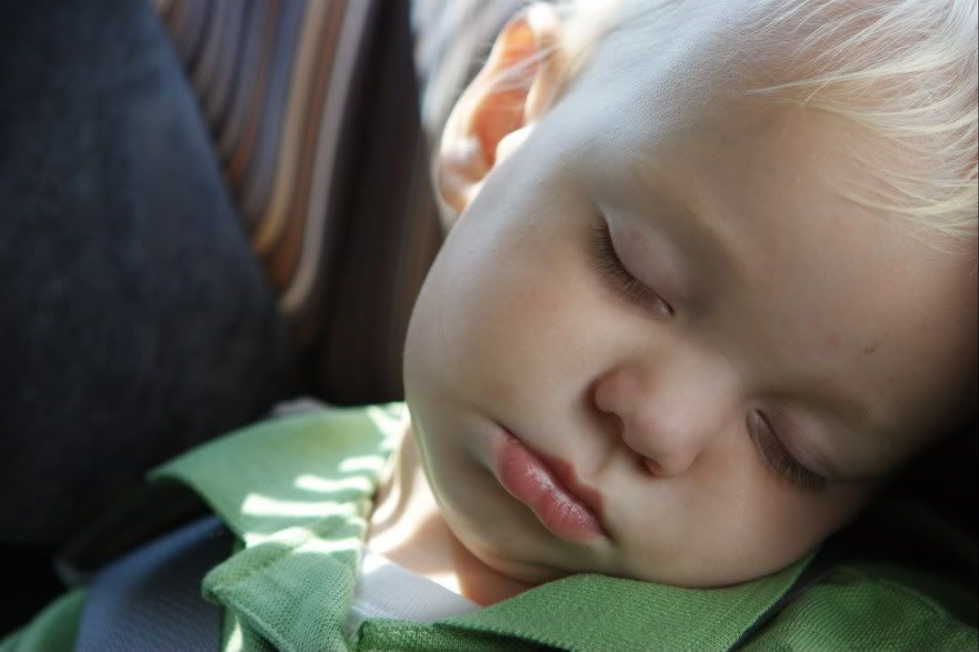 IMAGE: http://i5.photobucket.com/albums/y162/nic780/364f977d.jpg