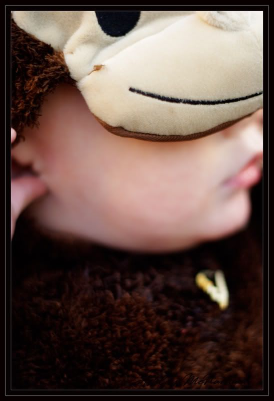 IMAGE: http://i5.photobucket.com/albums/y162/nic780/canon/10-24-20069-38-51AM_0288.jpg