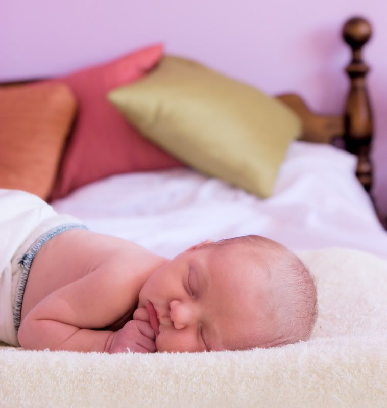 IMAGE: http://i5.photobucket.com/albums/y162/nic780/canon/11-13-20067-16-08AM_0017.jpg