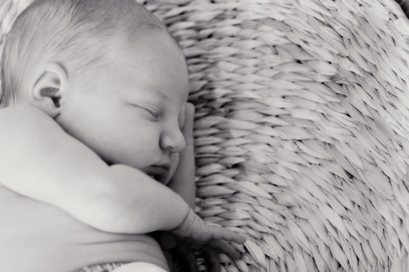 IMAGE: http://i5.photobucket.com/albums/y162/nic780/canon/11-13-20067-19-10AM_0053.jpg