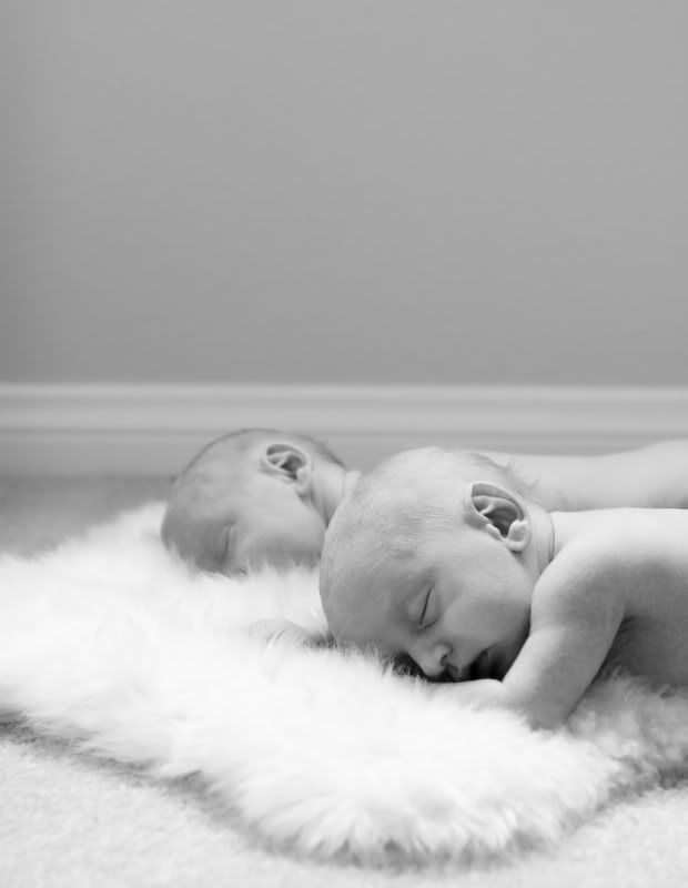 IMAGE: http://i5.photobucket.com/albums/y162/nic780/canon/11-2-20063-50-22AM_0175.jpg