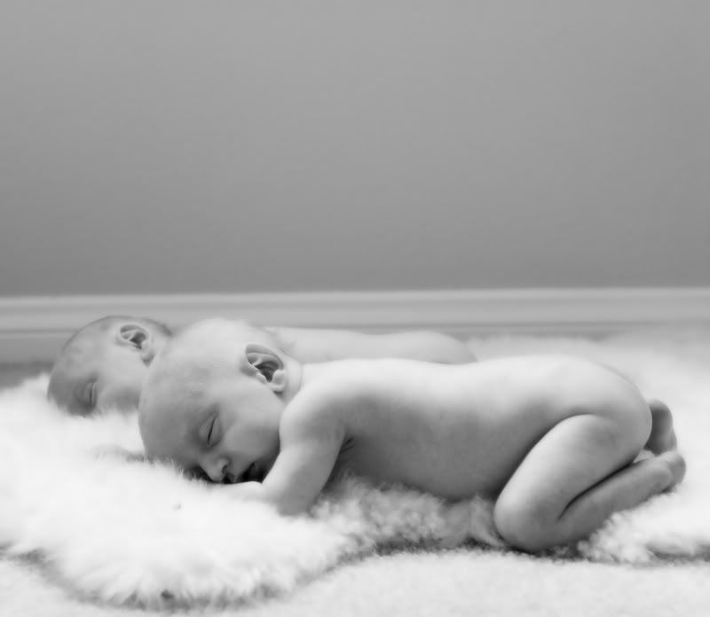 IMAGE: http://i5.photobucket.com/albums/y162/nic780/canon/11-2-20063-50-33AM_0179.jpg