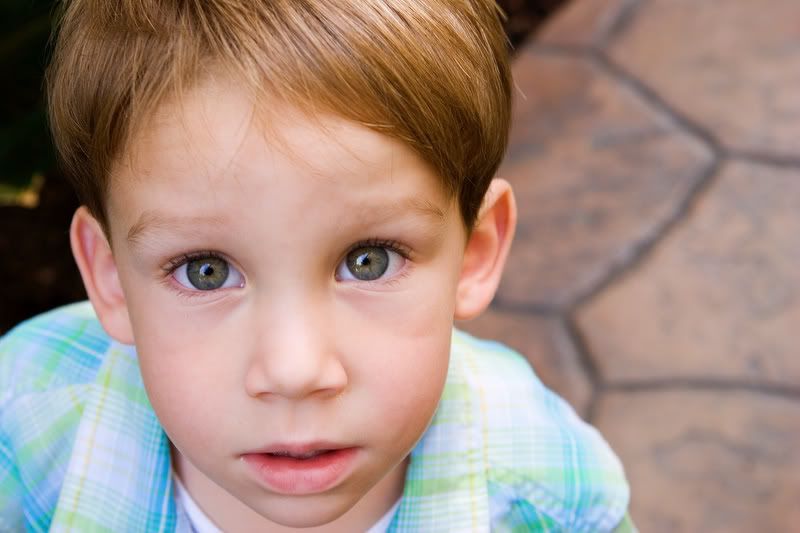 IMAGE: http://i5.photobucket.com/albums/y162/nic780/canon/11-3-20066-45-29AM_0002.jpg