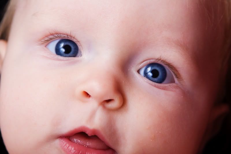 IMAGE: http://i5.photobucket.com/albums/y162/nic780/canon/11-4-20064-05-27AM_0152.jpg