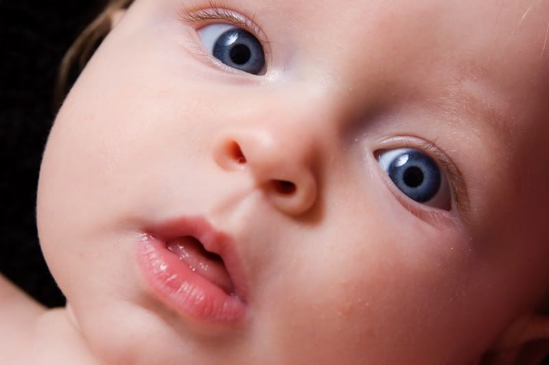 IMAGE: http://i5.photobucket.com/albums/y162/nic780/canon/11-4-20064-05-34AM_0153.jpg