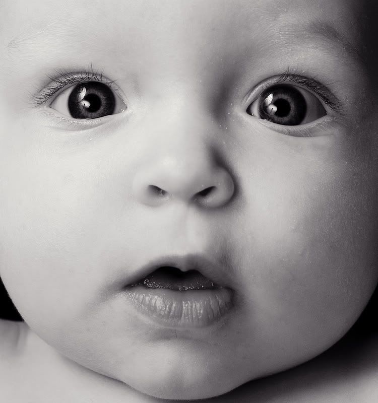 IMAGE: http://i5.photobucket.com/albums/y162/nic780/canon/11-4-20064-06-45AM_0165.jpg