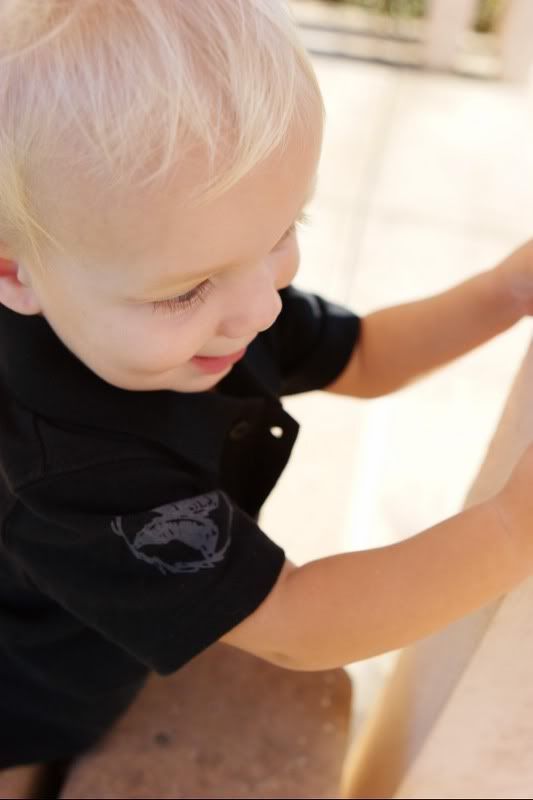 IMAGE: http://i5.photobucket.com/albums/y162/nic780/pw/9-28-20068-31-49AM_0025.jpg