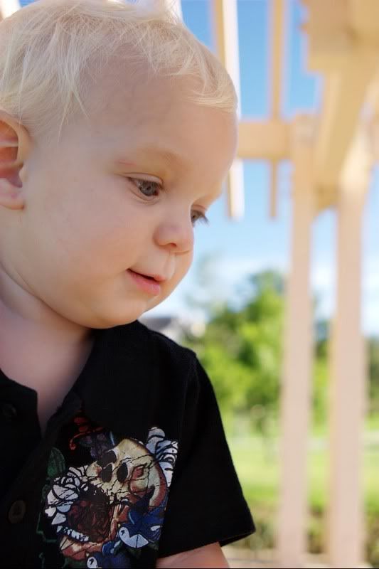 IMAGE: http://i5.photobucket.com/albums/y162/nic780/pw/9-28-20068-32-04AM_0029.jpg