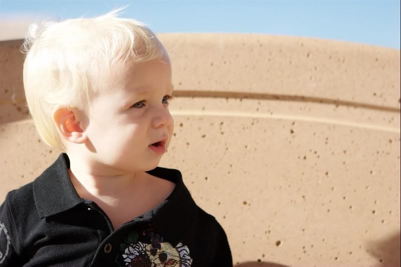 IMAGE: http://i5.photobucket.com/albums/y162/nic780/pw/9-28-20068-35-01AM_0089.jpg