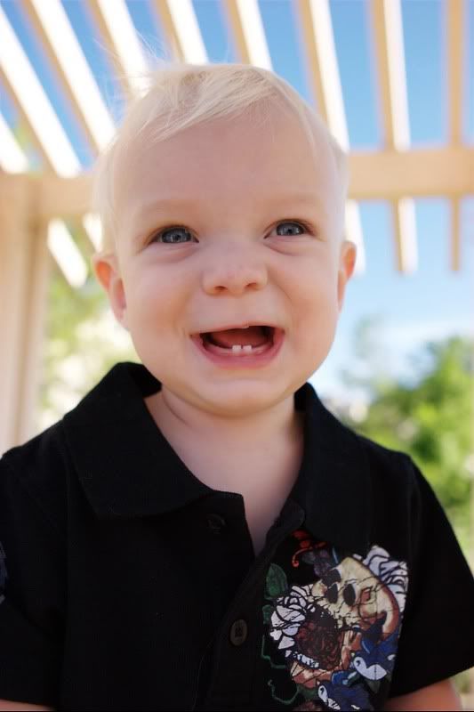 IMAGE: http://i5.photobucket.com/albums/y162/nic780/pw/chrisfun.jpg