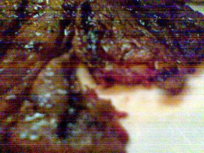 Steak3 photo Image069.jpg