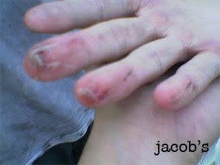 Image hosted by Photobucket.com