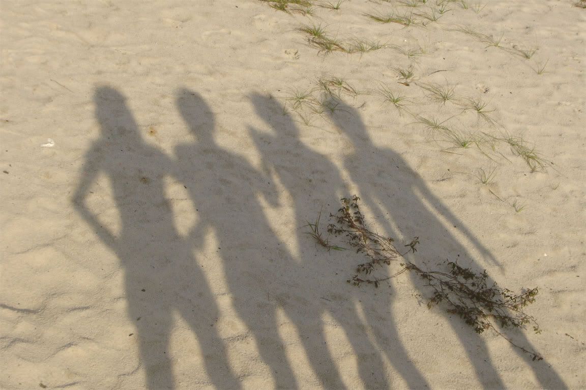 Image hosted by Photobucket.com