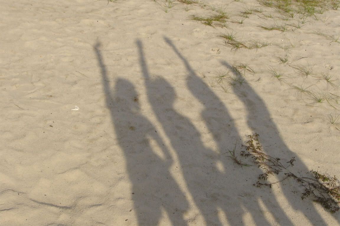 Image hosted by Photobucket.com