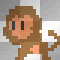 monkey