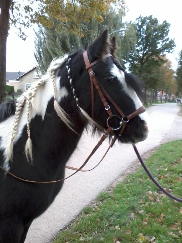 Afbeelding