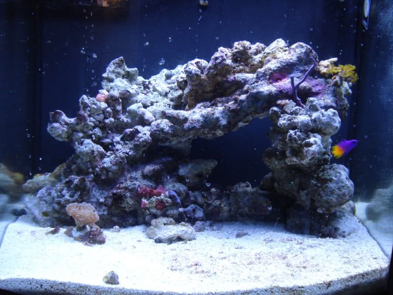 FTS10-15fish.jpg