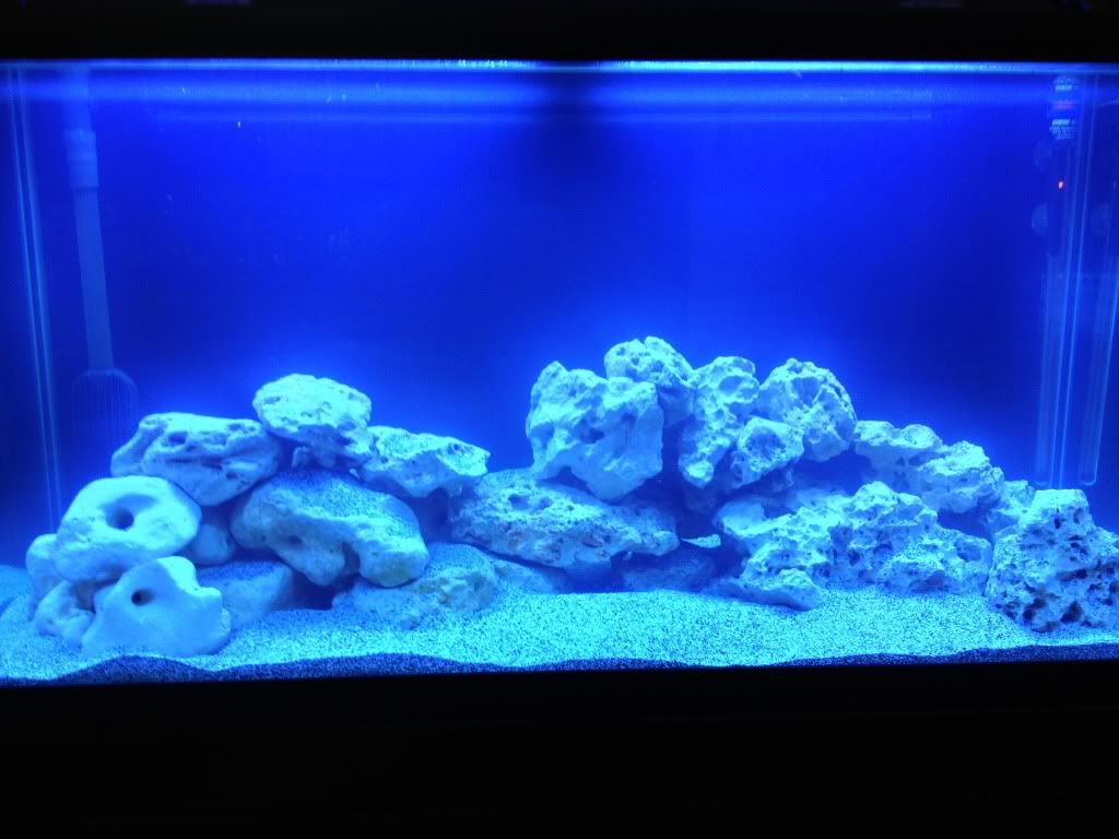 Sand for Cichlid tank Page 2 Cichlid Fish Forum