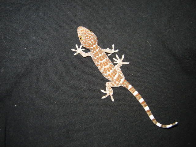 baby3.jpg