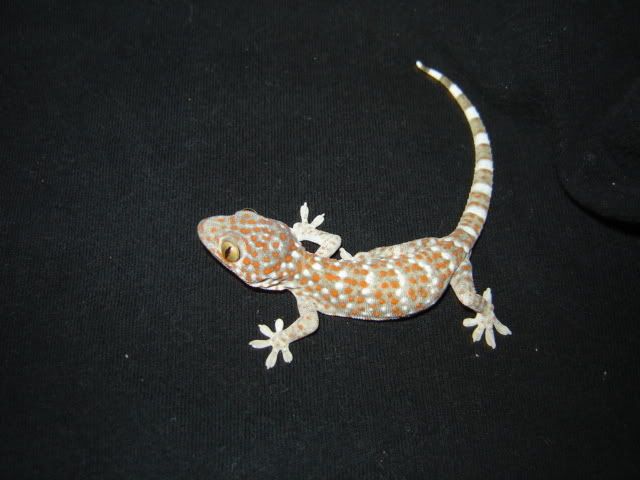 baby4.jpg