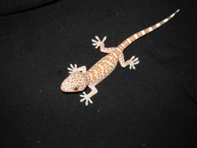 baby5.jpg
