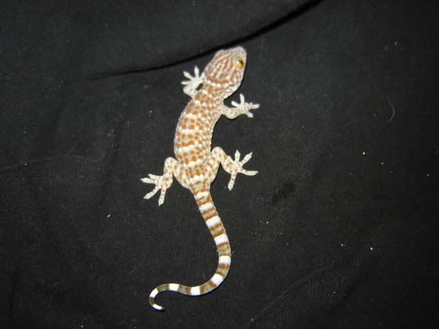 baby6.jpg