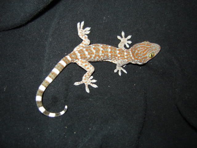 baby7.jpg