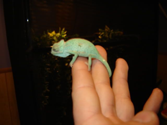 Dsc00167.jpg