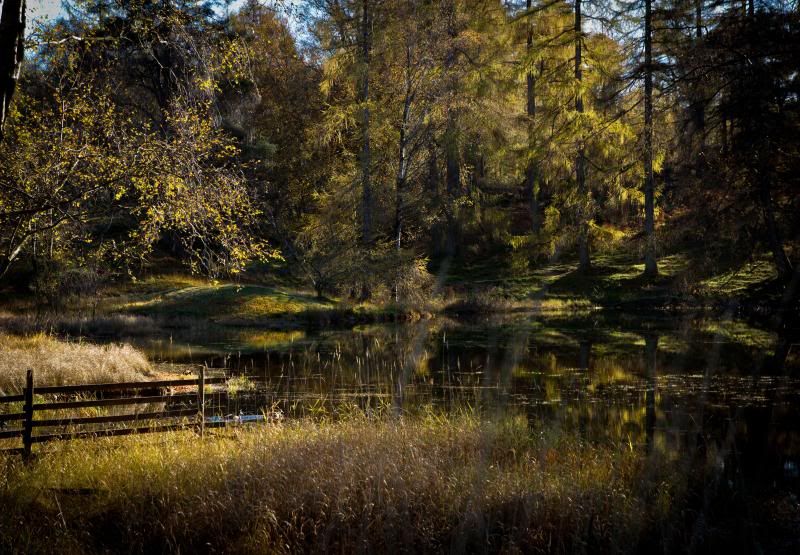 IMAGE: http://i5.photobucket.com/albums/y163/homerplaysbass/IMG_5564_zpsdcc55a68.jpg